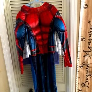 Marvel Spider-Man Halloween costume